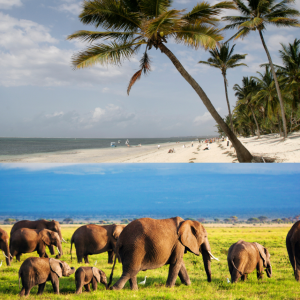 mombasa amboseli