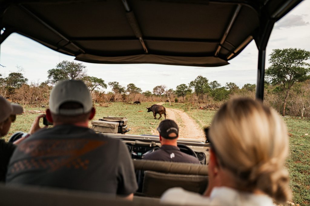 tourist safari