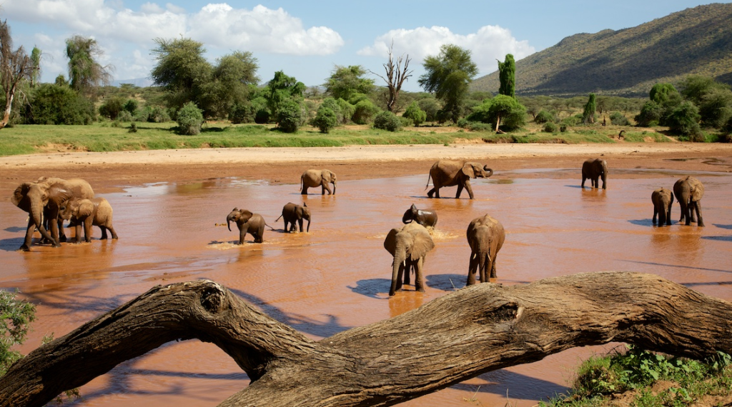 Best Travel Agency To Samburu screenshot 39