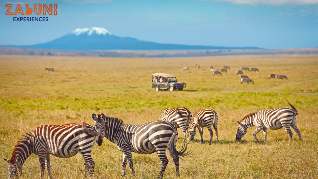 amboseli 2