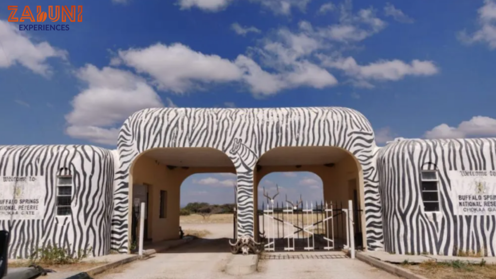 buffalo spring reserve (3)