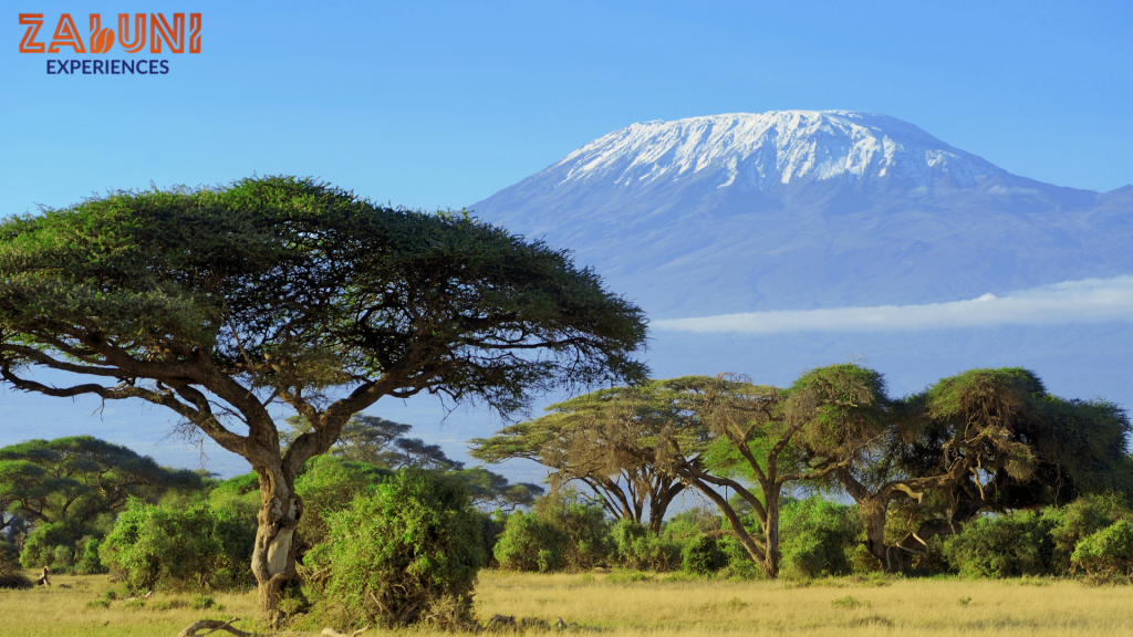 mount kilimanjaro 2
