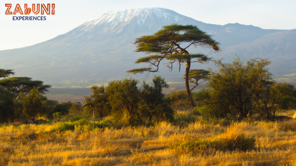 mount kilimanjaro 3