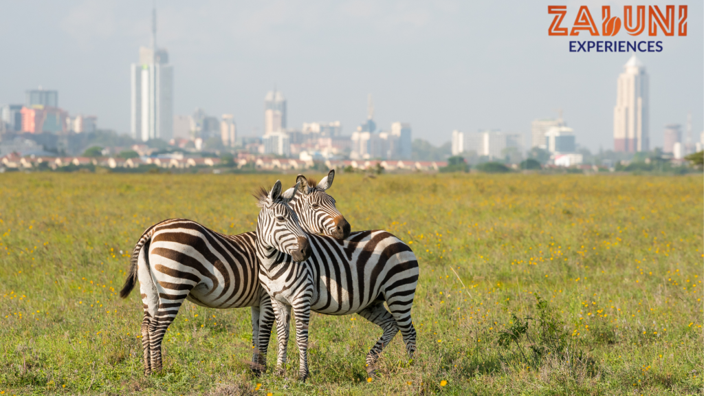 nairobi park