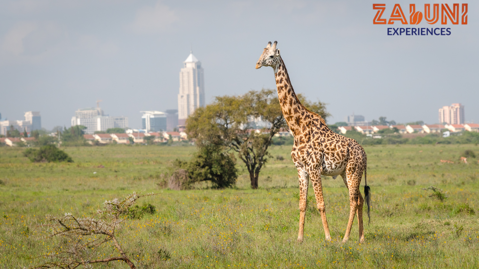 nairobi park (1)