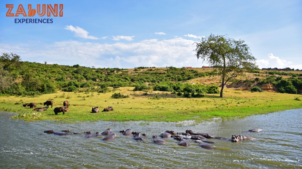 queen elizabeth national park 1
