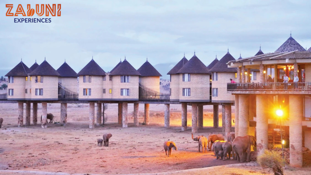 salt lick safari lodge