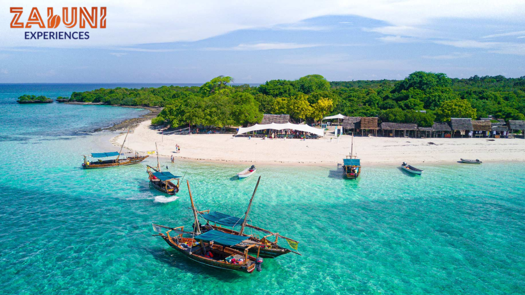 zanzibar tours