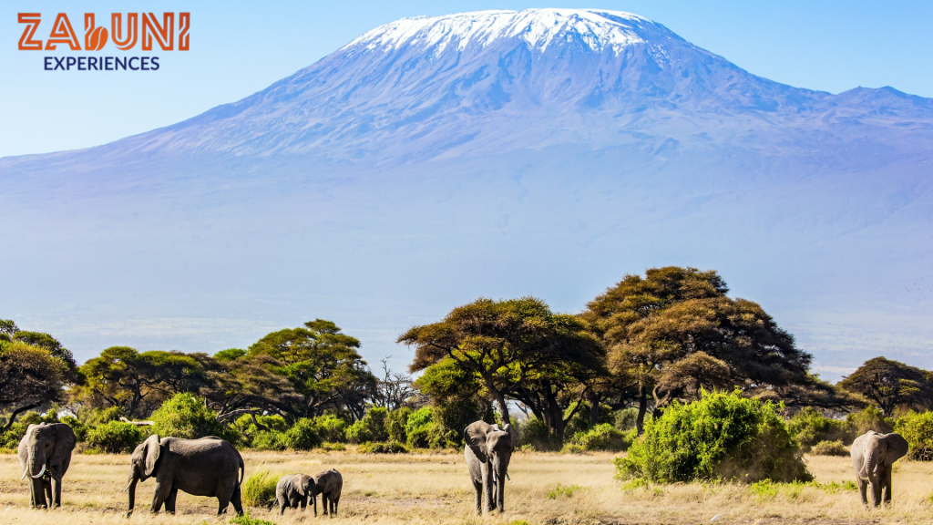 mount kenya (2)